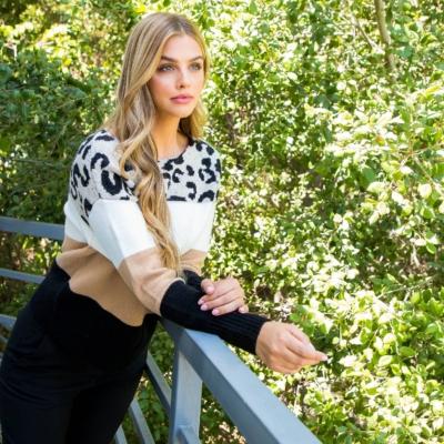 Talia-Colorblocked Cheetah Sweater - Image 9